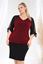 Picture of CURVY GIRL PARTY TOP WITH CHIFFON SLEEVE